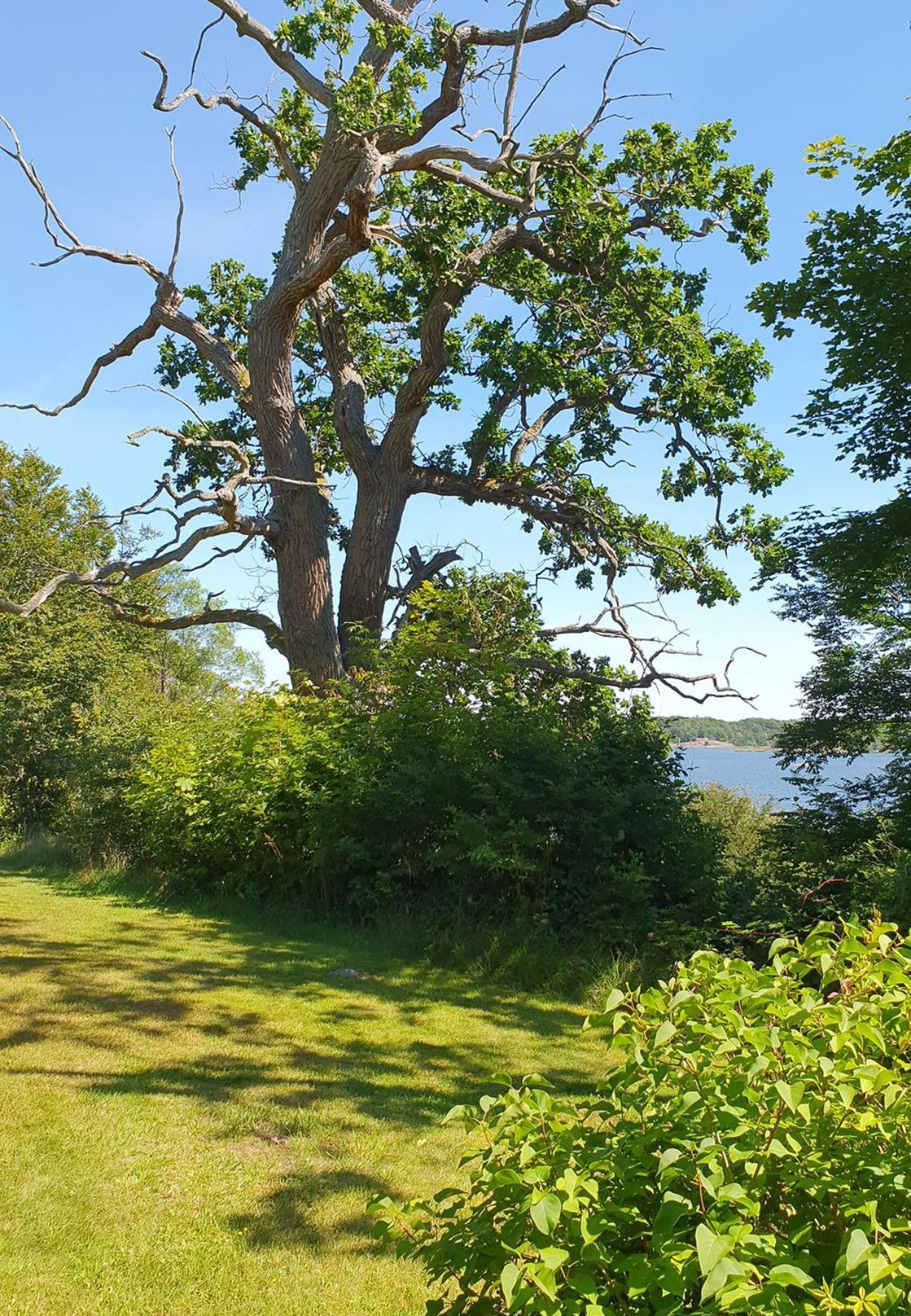 Skaerva Herrgard Karlskrona Luaran gambar