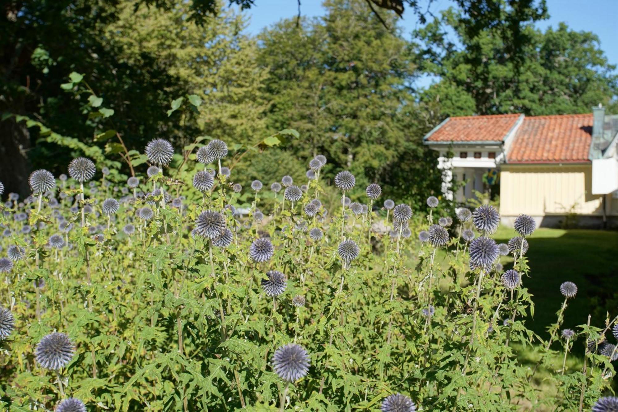 Skaerva Herrgard Karlskrona Luaran gambar